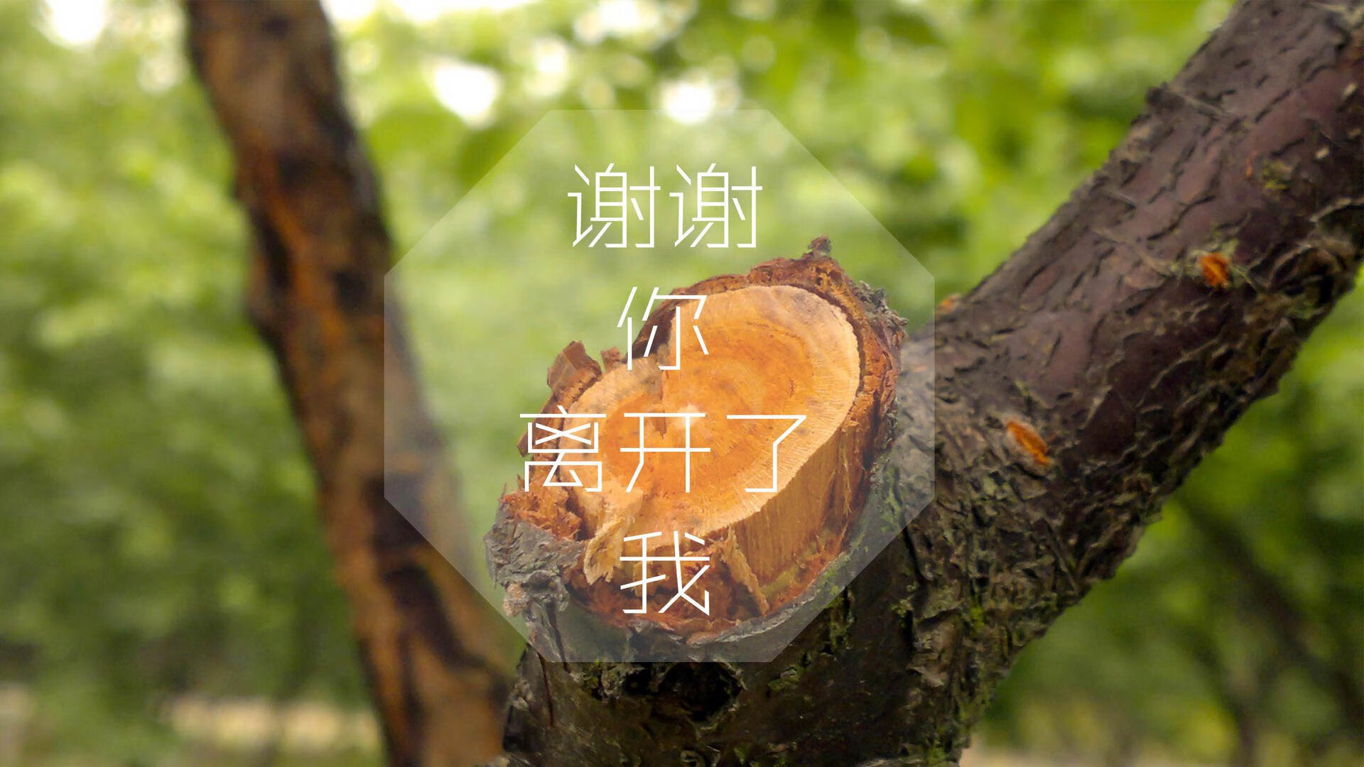 中国三人篮球男队适应多种比赛节奏，三人篮球赛中国队球员