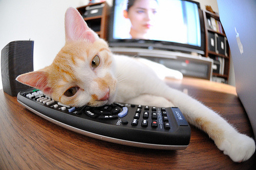 国际乒联混合团体世界杯赛制的利与弊：德国队如何调整战术，国际乒联德国公开赛