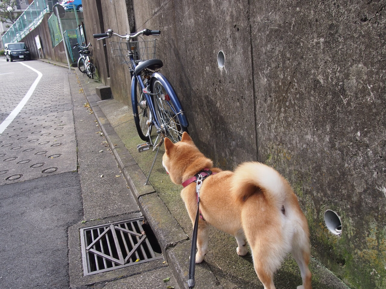 奥预赛中国足球平局 球迷呼吁增强临门一脚，2020足球奥预赛