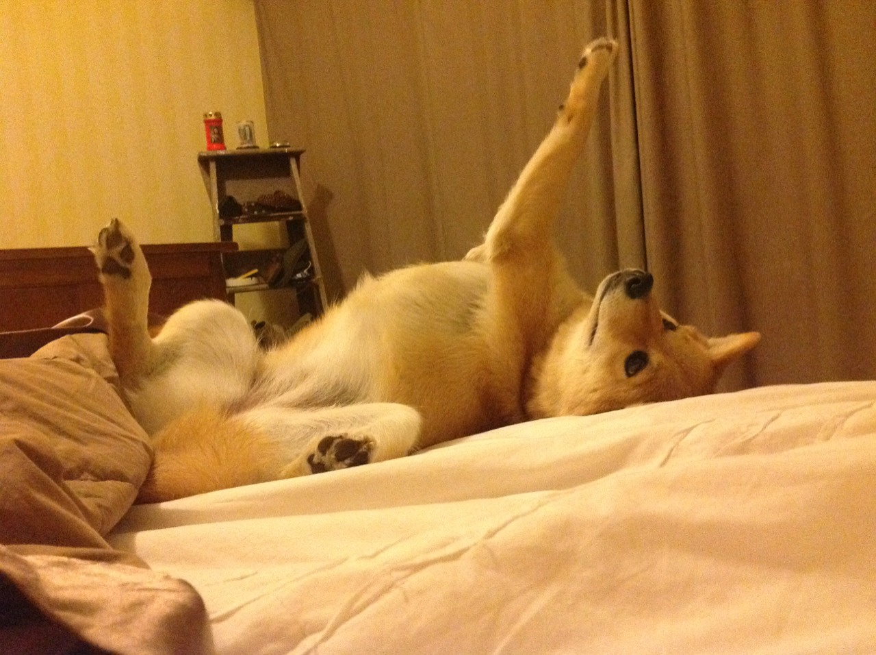 热刺控制节奏消耗对手体能，热刺踢法