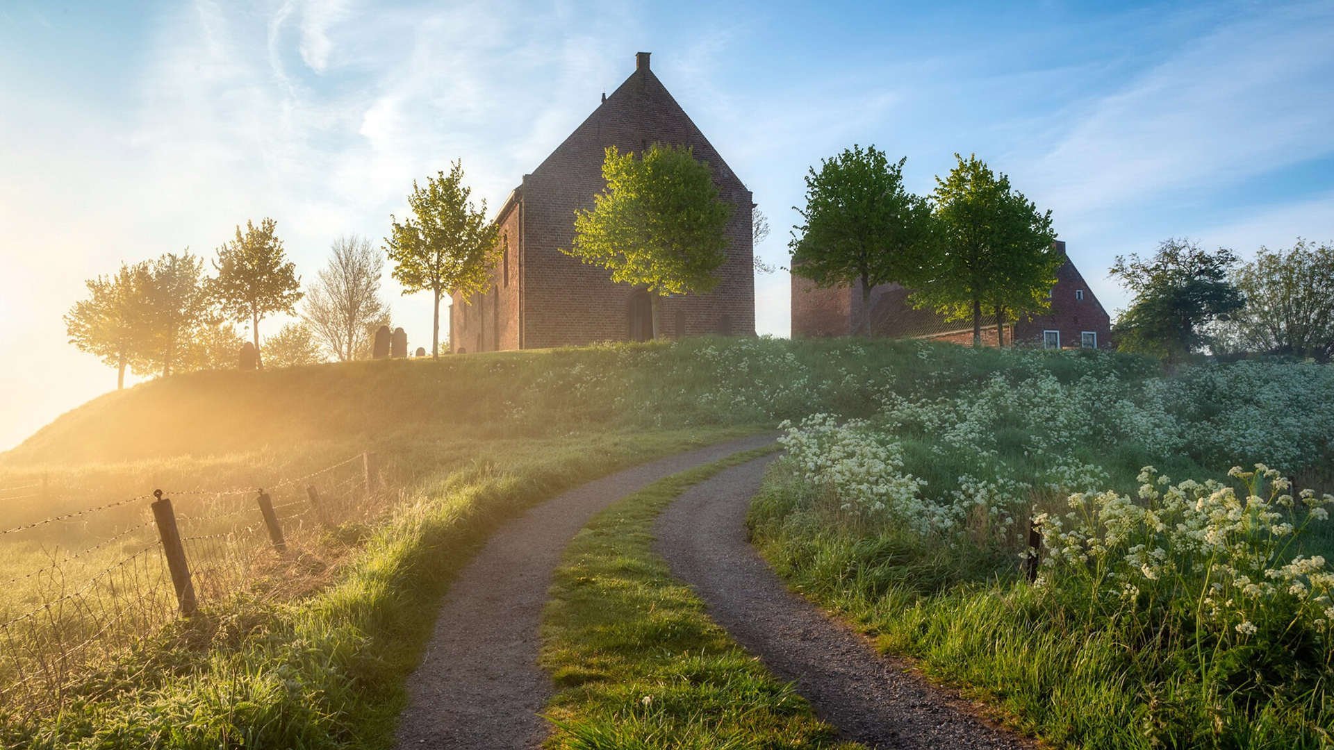 职业联赛品牌传播策略脱节社交趋势，职业联赛的意义