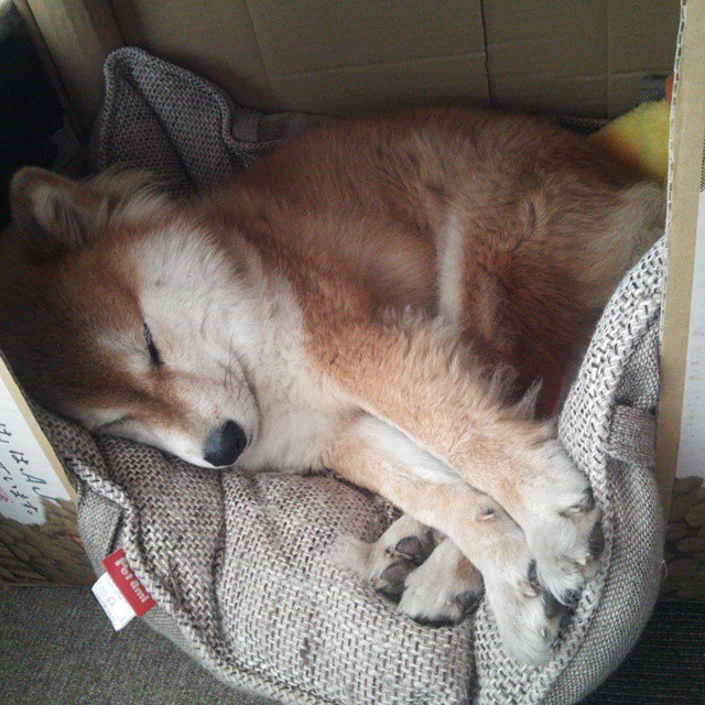 裁判员培训力度加大提升专业水平，裁判培训方案