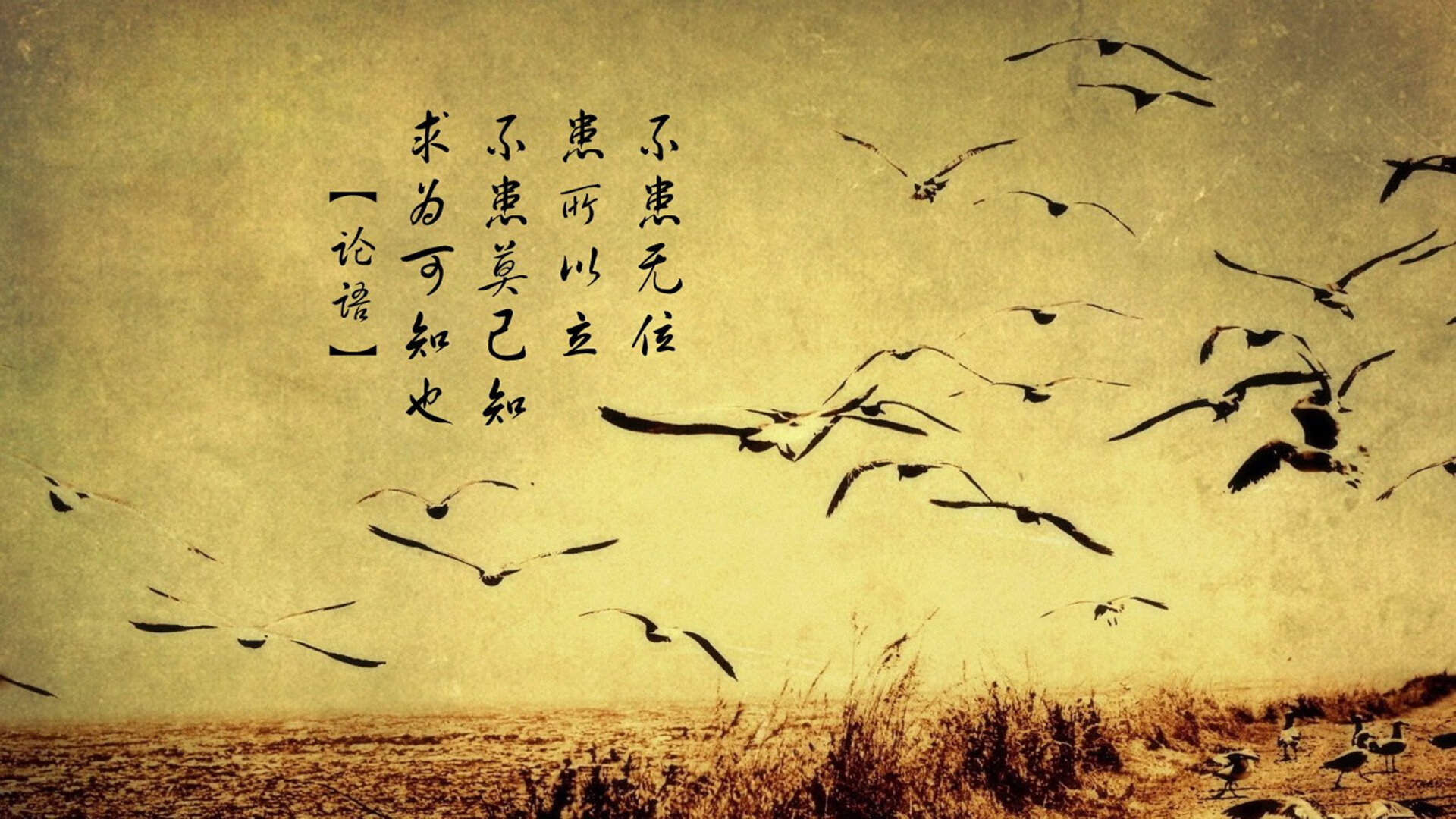 乌拉圭男篮在南美锦标赛中持续展现团队精神,迈向更高荣耀,乌拉圭篮球赛