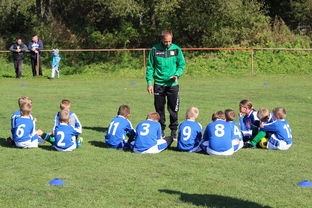 九游官网入口地址-南非混合泳团队战术引热议，南非的混合农业