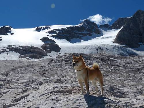 九游娱乐app-女子篮球加强传球视野训练提升组织效率，女生行进传球技巧